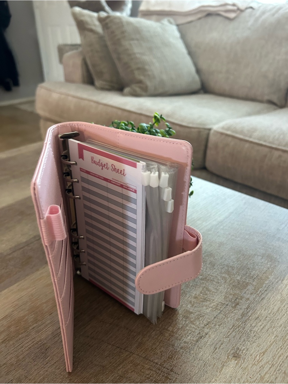 Pink Personal Planner /Money Organizer - Compact Ring Binder